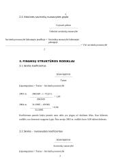 Pagrindiniai įmonės finansinės veiklos rodikliai 3 puslapis