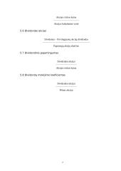 Pagrindiniai įmonės finansinės veiklos rodikliai 7 puslapis