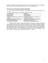 Paslaugų vadybos samprata 12 puslapis