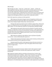 Mikrobiologija referatas
