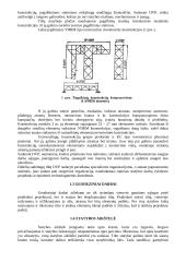 Transporto statiniai 3 puslapis