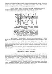 Transporto statiniai 4 puslapis