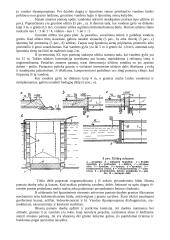 Transporto statiniai 6 puslapis