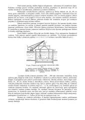 Transporto statiniai 7 puslapis