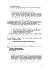 Užsienio investicijos 2 puslapis