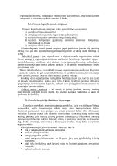 Užsienio investicijos 11 puslapis