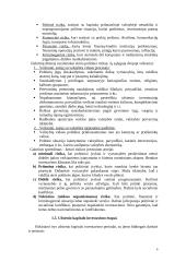 Užsienio investicijos 6 puslapis