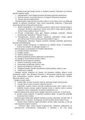 Užsienio investicijos 10 puslapis