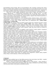 Vertimo teorijos 3 puslapis