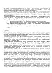 Vertimo teorijos 4 puslapis