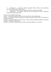 Vertimo teorijos 10 puslapis