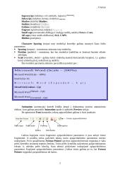 Dokumento apipavidalinimas 2 puslapis