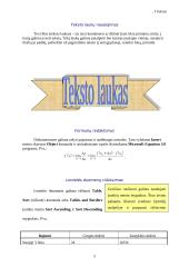 Dokumento apipavidalinimas 5 puslapis