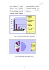 Dokumento apipavidalinimas 8 puslapis