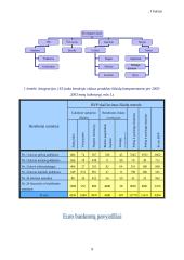 Dokumento apipavidalinimas 9 puslapis