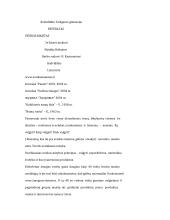 Sveikas maistas referatas