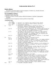 Duomenų įvedimas ir išvedimas, paprogramės ir dėklas 2 puslapis