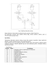 Slėgio reguliavimas 3 puslapis