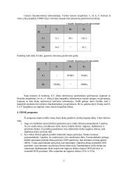 Kompiuterio išorinės atminties įrenginių tyrimo ataskaita 2 puslapis