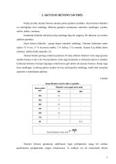 Akytojo betono tvarumas 5 puslapis