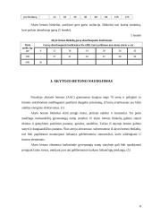 Akytojo betono tvarumas 8 puslapis