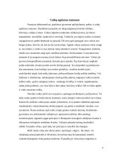 Ankstyvojo ikimokyklinio amžiaus vaikų ugdymas 4 puslapis