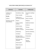 Auklėjamojo renginio planas 2 puslapis