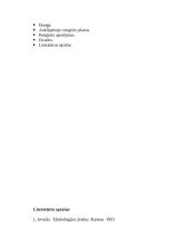 Auklėjamojo renginio planas 9 puslapis