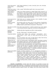 Bendravimas ir bendradarbiavimas su skirtingų kultūrų atstovais 2 puslapis