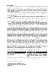 Bendravimas ir bendradarbiavimas su skirtingų kultūrų atstovais 12 puslapis