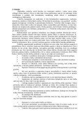 Bendravimas ir bendradarbiavimas su skirtingų kultūrų atstovais 7 puslapis