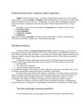 Bendravimas turizmo versle 2 puslapis