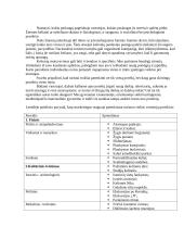 Bendravimas turizmo versle 3 puslapis