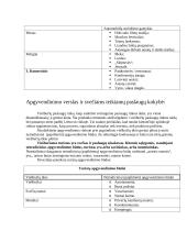 Bendravimas turizmo versle 4 puslapis