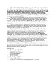 Bendravimas turizmo versle 6 puslapis