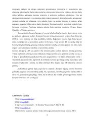 Darbo rinka Lietuvoje ir Europos Sąjungoje (ES) 2004-2005 metais 9 puslapis