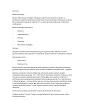 Maisto medžiagos referatas