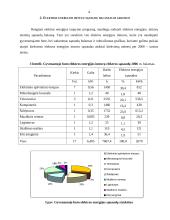 Gyvenamojo būsto energijos sąnaudų tyrimas 4 puslapis