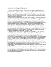 Turizmas: oro transportas 2 puslapis