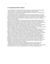 Turizmas: oro transportas 4 puslapis