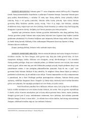 Sokrato filosofinės ir politinės idėjos 2 puslapis