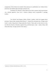 Sokrato filosofinės ir politinės idėjos 5 puslapis