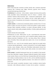 Šeimos modeliai 2 puslapis