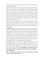 Šeimos modeliai 3 puslapis