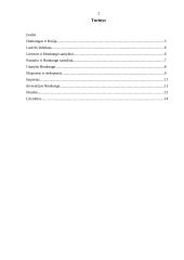 Besivystančių šalių tarptautinė ekonominė politika 2 puslapis