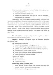 Besivystančių šalių tarptautinė ekonominė politika 3 puslapis