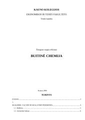 Buitinė chemija