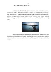 Buitinė chemija 14 puslapis