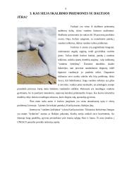 Buitinė chemija 9 puslapis