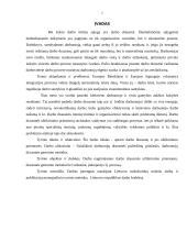 Darbo drausmės užtikrinimo priemonės 2 puslapis